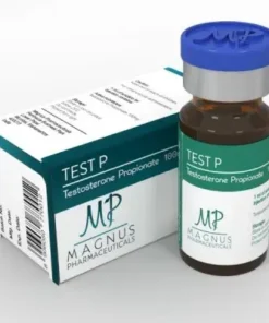 Test P